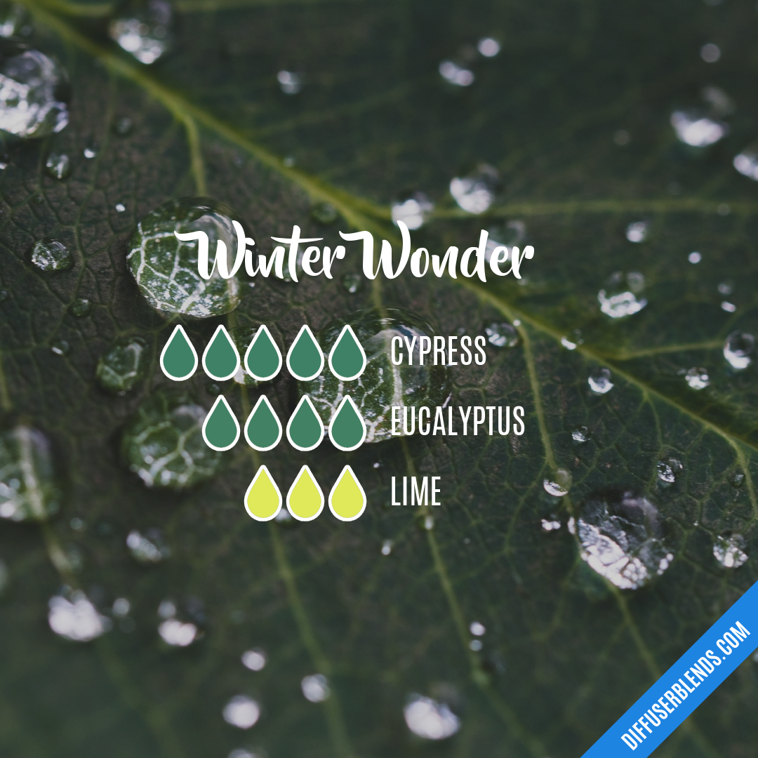 Winter Wonder — Essential Oil Diffuser Blend