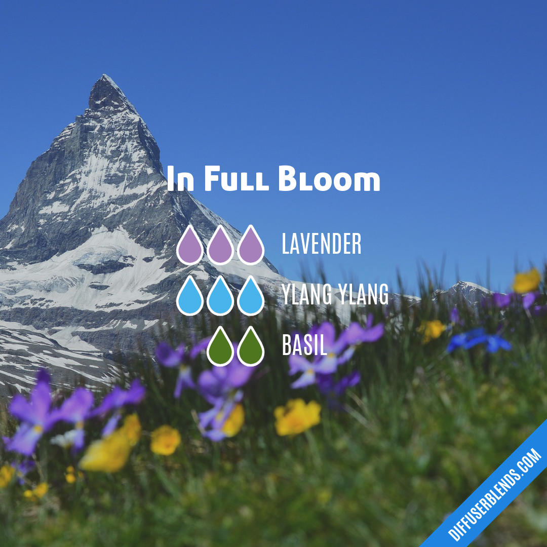 In Full Bloom — Essential Oil Diffuser Blend