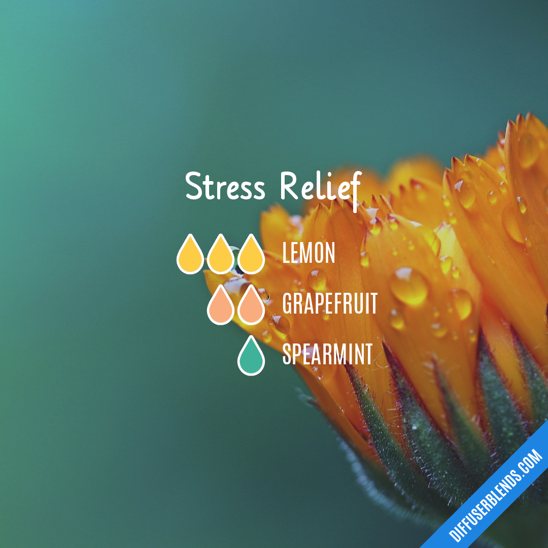 Stress Relief — Essential Oil Diffuser Blend