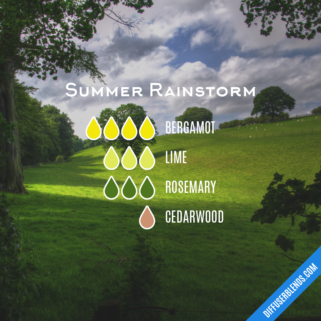 Summer Rainstorm — Essential Oil Diffuser Blend