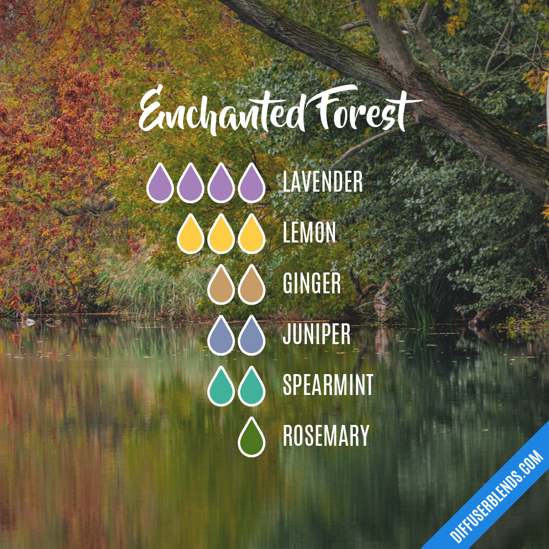 Enchanted Forest — Essential Oil Diffuser Blend