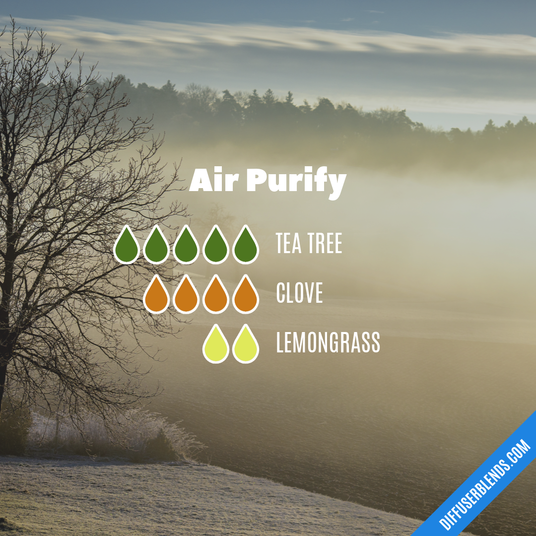 Air Purify — Essential Oil Diffuser Blend