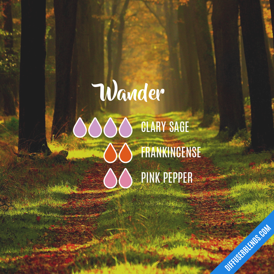 Wander — Essential Oil Diffuser Blend