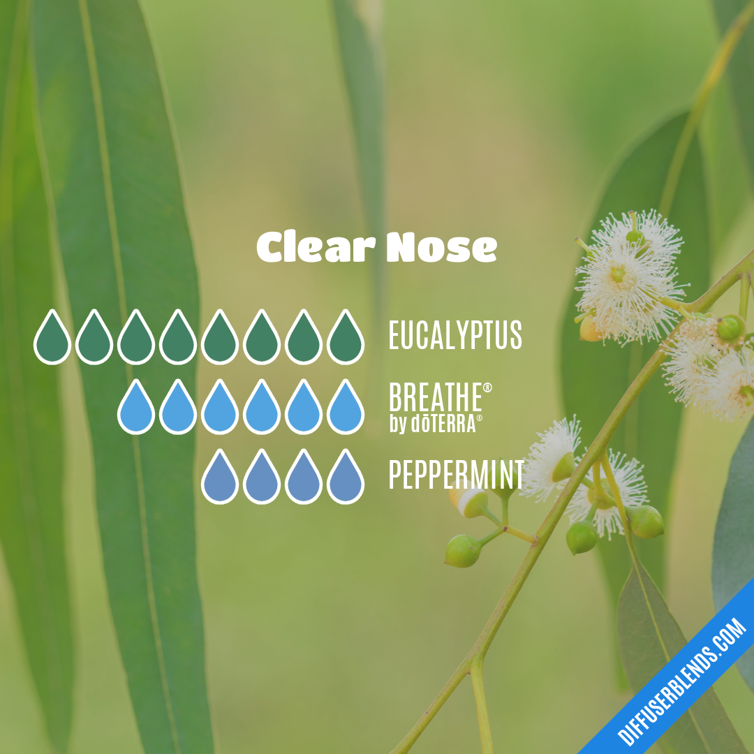 Clear Nose — Essential Oil Diffuser Blend