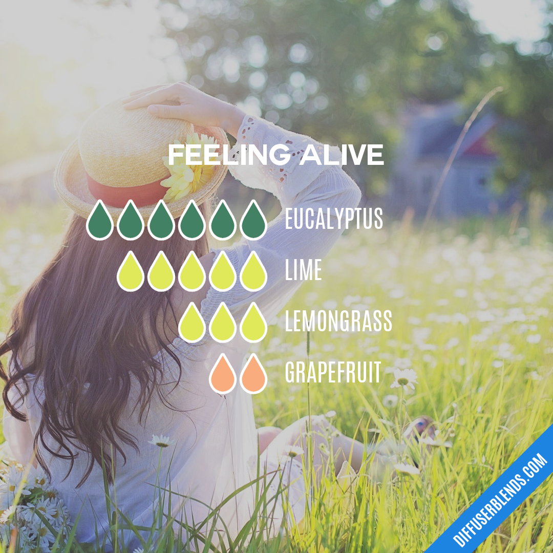 Feeling Alive — Essential Oil Diffuser Blend