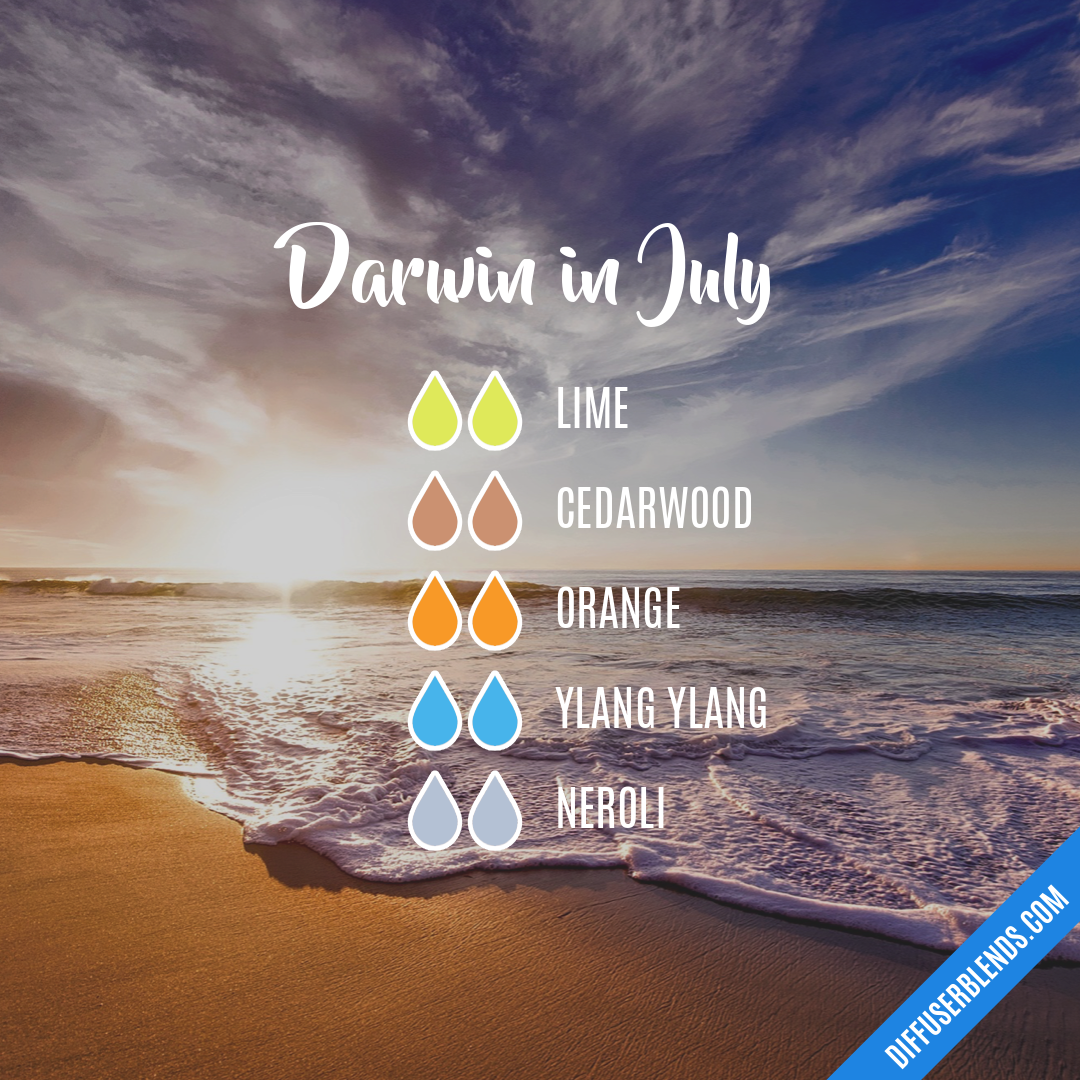 Darwin in July | DiffuserBlends.com