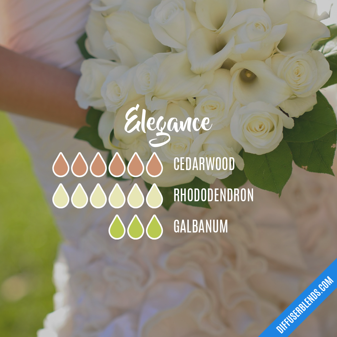 Elegance — Essential Oil Diffuser Blend